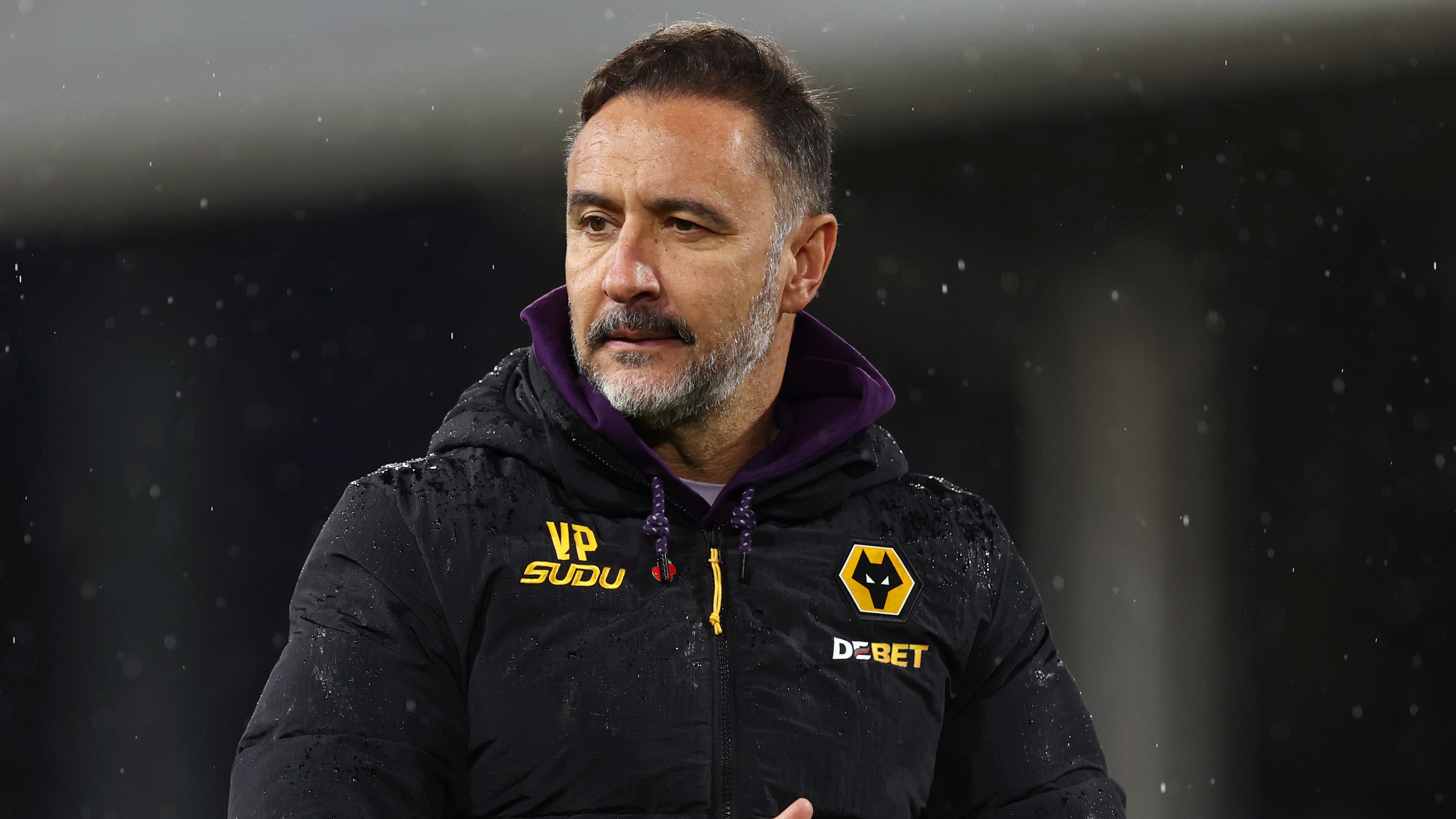 Wolverhampton Wanderers Eye Relegation Avoidance: Rob Edwards Appointed as Manager with Championship Promotion Strategy Revealed